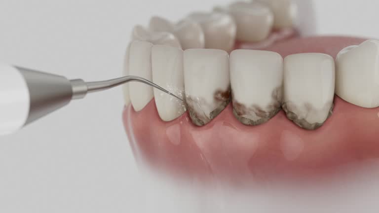Reliable Dental contractor in Gallipolis, OH by Dentist Open Now